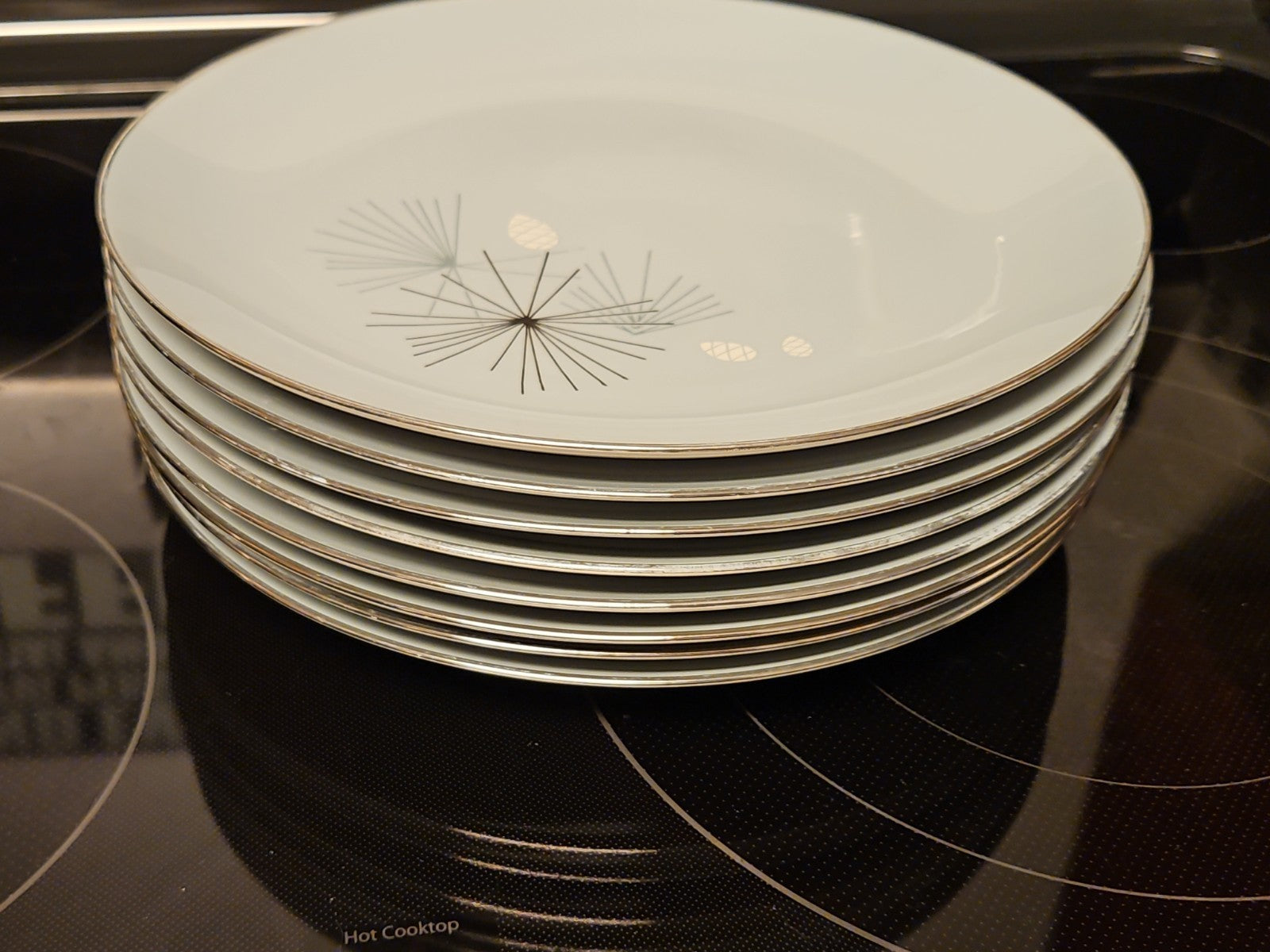 Set Of 8 Vintage MCM Franciscan Silver Pine Dinner Plates 10.5" Platinum Rim