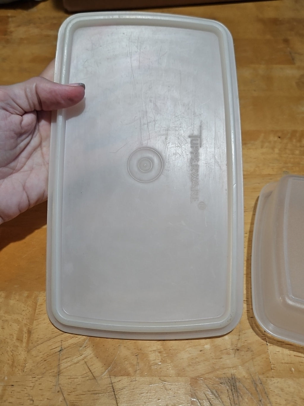 Vintage Tupperware Deli Meat Cheese Keeper Sheer 816 W/ Sheer Lid 817