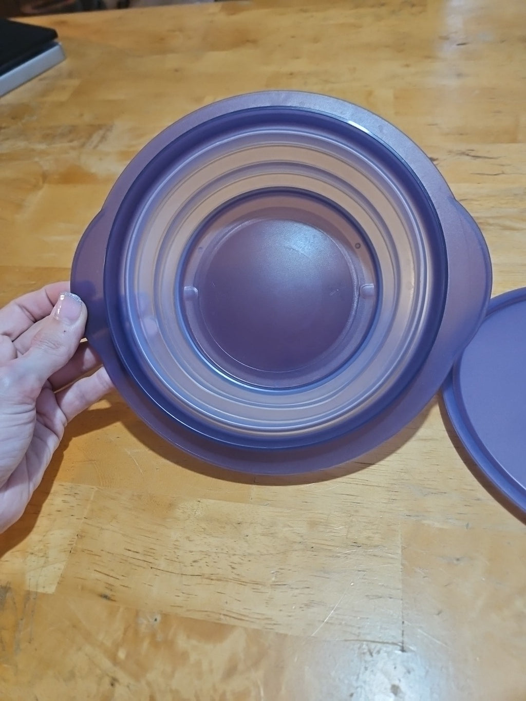 Tupperware 3 Cup Collapsible Purple Bowl 5452A With Lid
