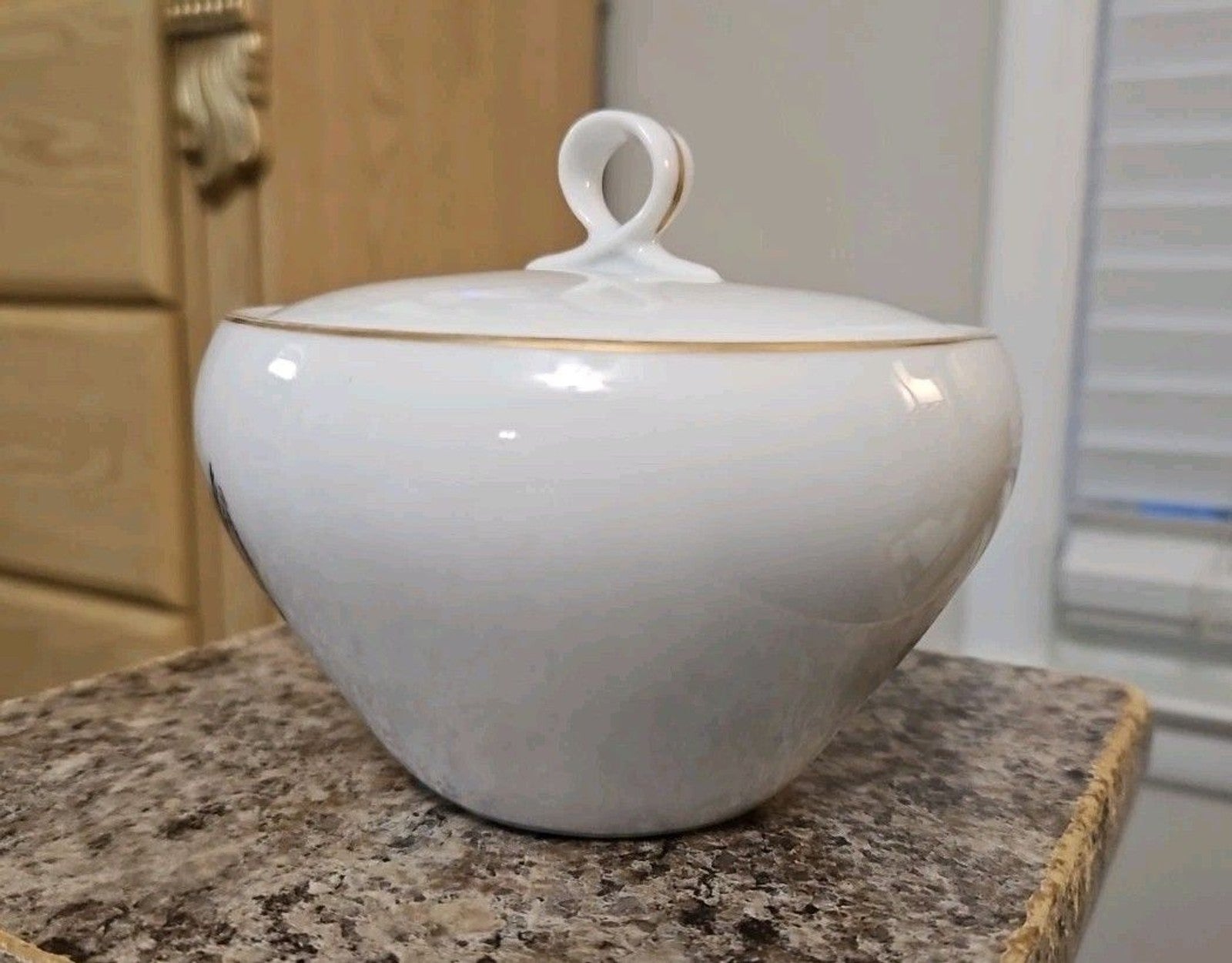 Fukagawa Arita 903 Hand Painted Landscape Lidded Sugar Bowl MINT Gold Trim