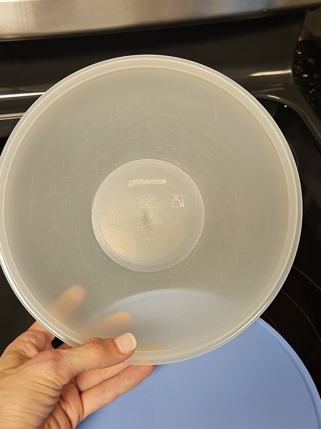 Set Of 2 Vintage Tupperware Wonderlier Bowls W Blue Lids 8 3/4 & 12 Cup