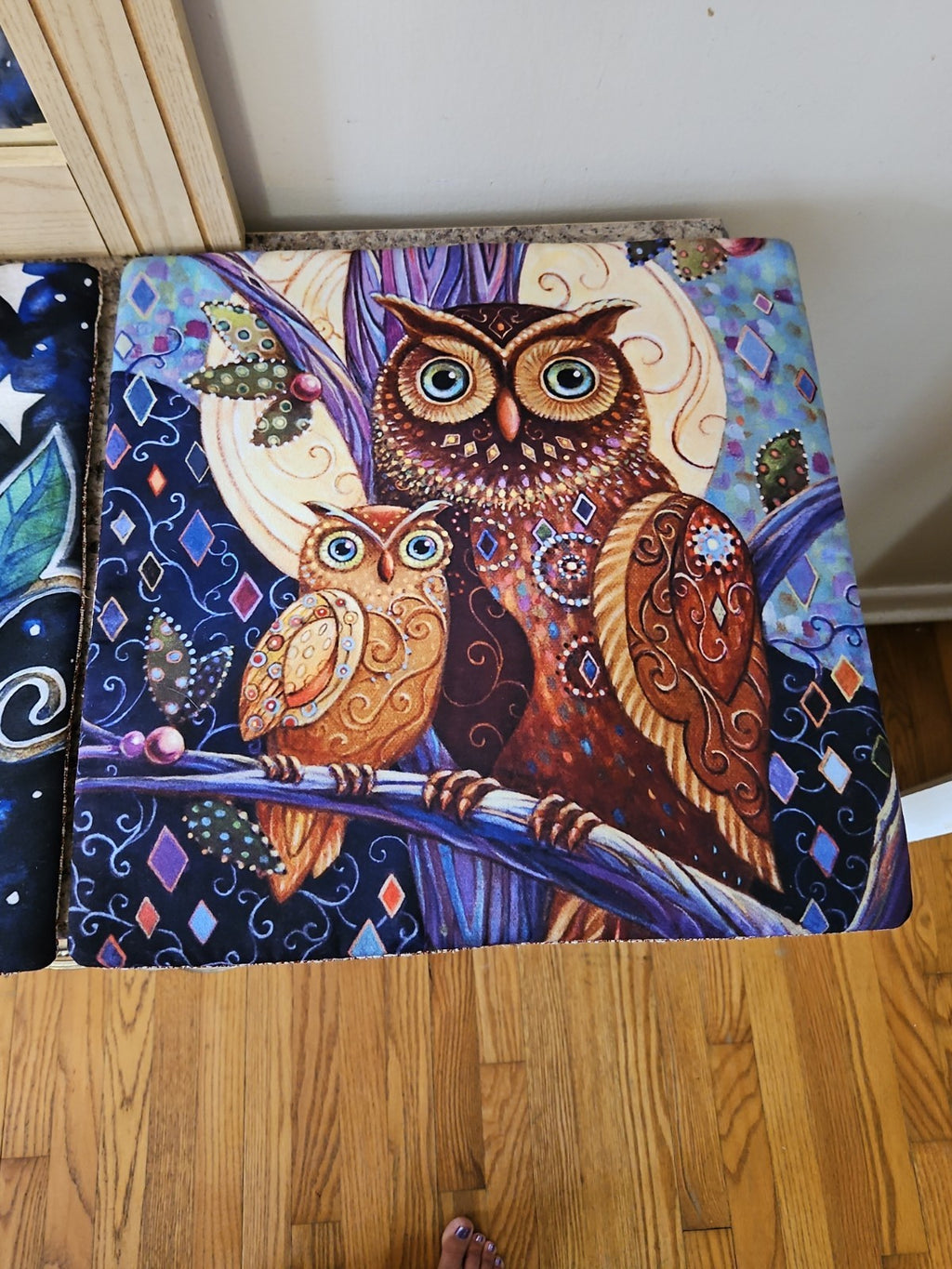 Set of 2 Opulent Owls Jewel Tone Reversible Throw Pillow Covers 15.5"x15.5" NWOT