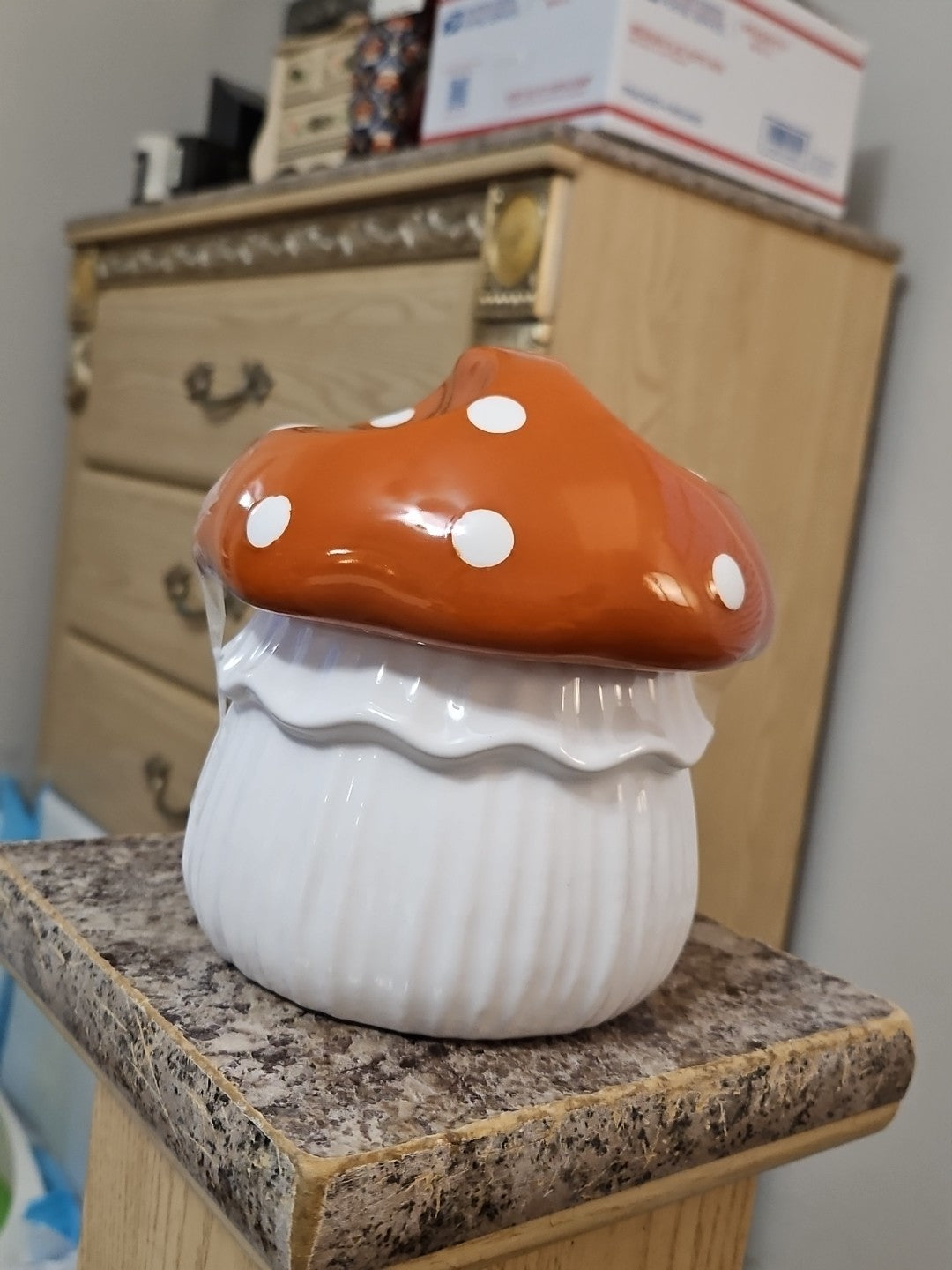Target Bullseye Ceramic Mushroom Shaped Cookie Jar Candy Bowl 6" New