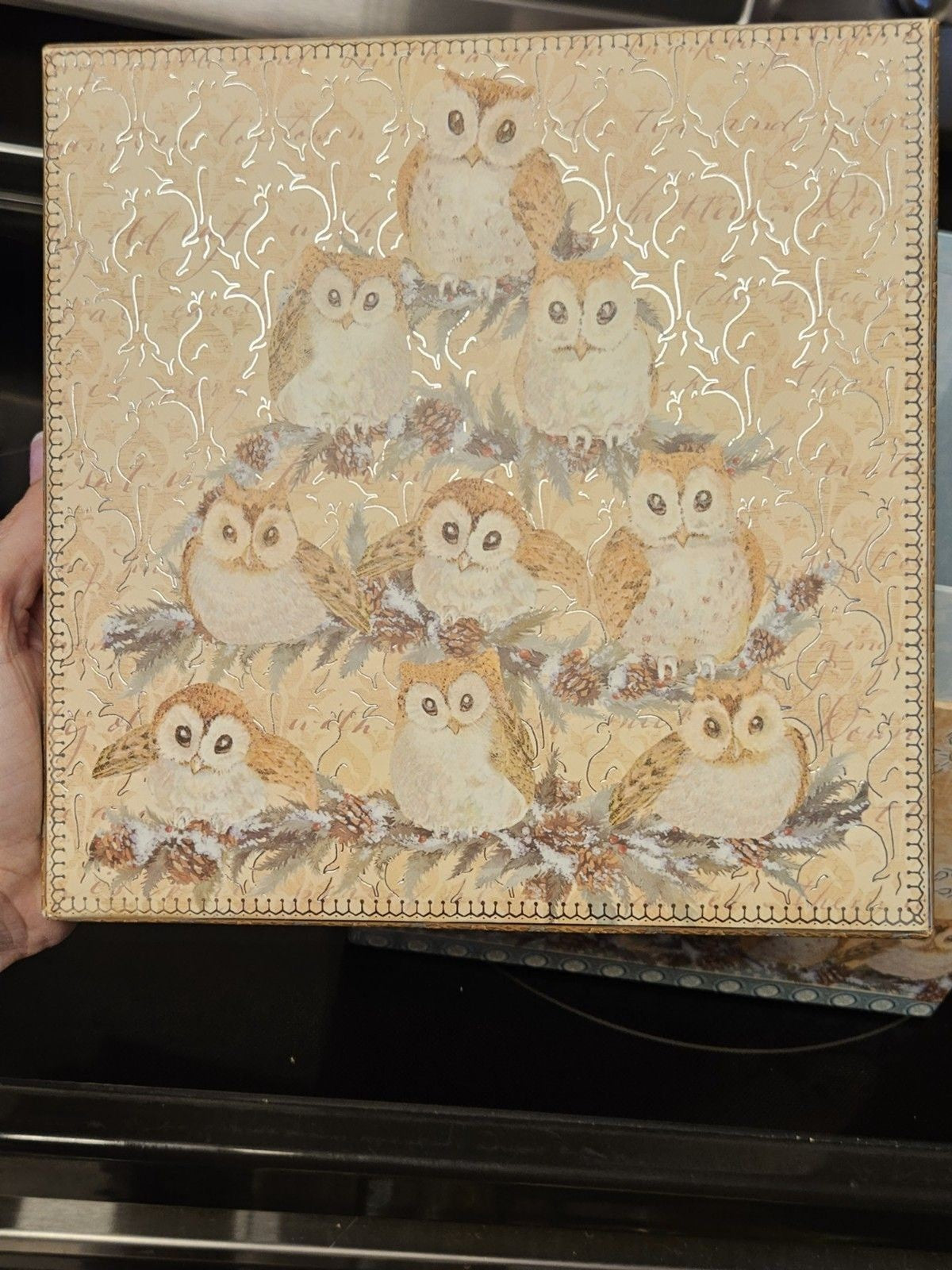 Elegant Storage Box Blue, Yellow, Silver Filigree Owl Print 9"x9"x5"