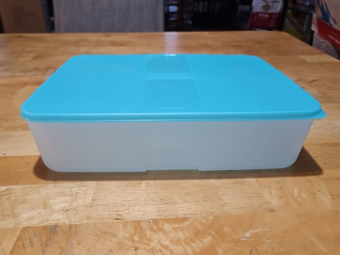 Vintage Tupperware Freezer Mates #2097A W Lid 2095B Turquoise 3.3 L