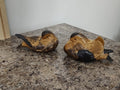 Vintage Andrea by Sadek Brown Black Sitting Doves Birds Ducks Figurines Lot Of 2