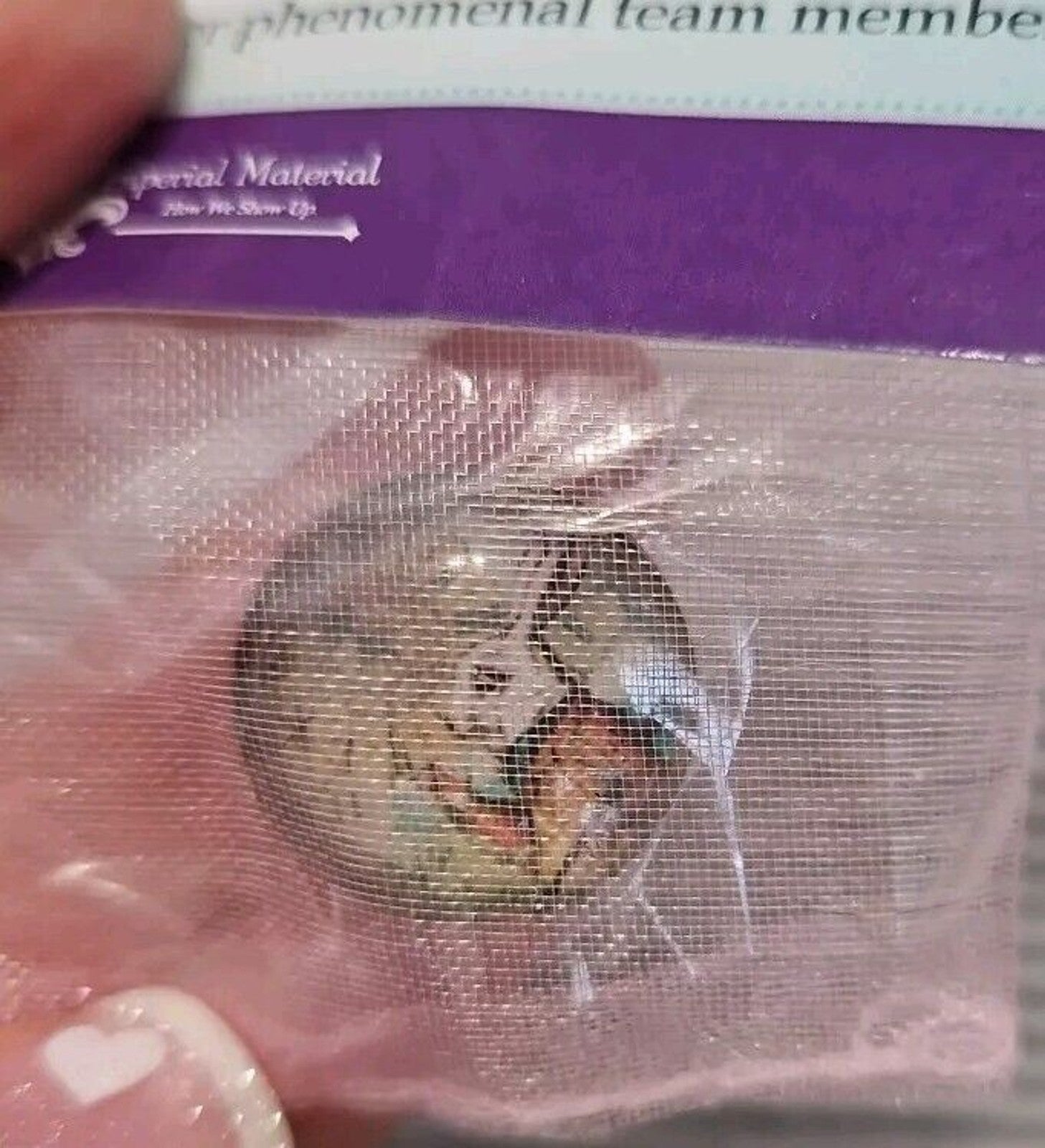 Thirty One 31 Consultant Button Pin Recruiting Enamel Bunny Peter Rabbit New