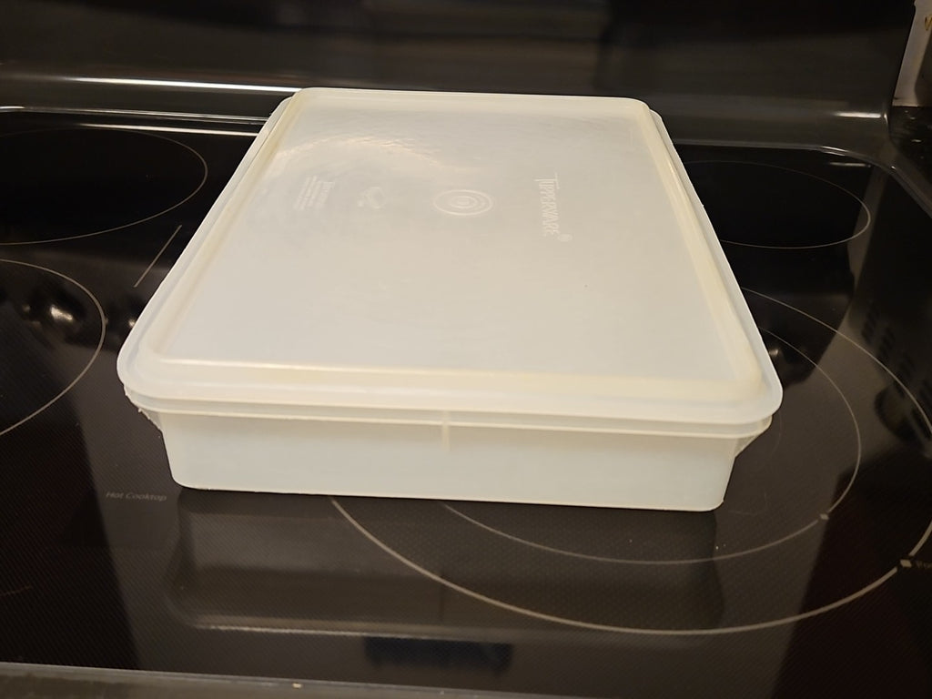 Vintage Tupperware Handolier #290 Sheer Rectangle Keeper With #291 Lid READ
