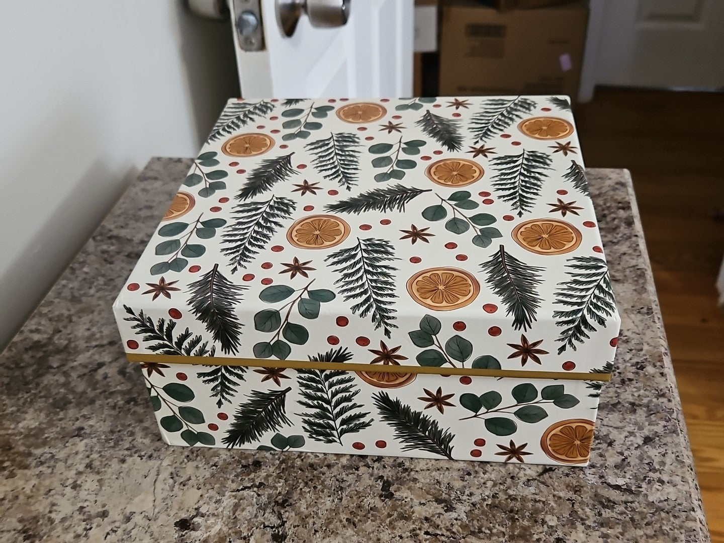 Lady Jayne Storage Box Citrus, Berry, Spice Greenery Holiday Theme 9"x9"x4"