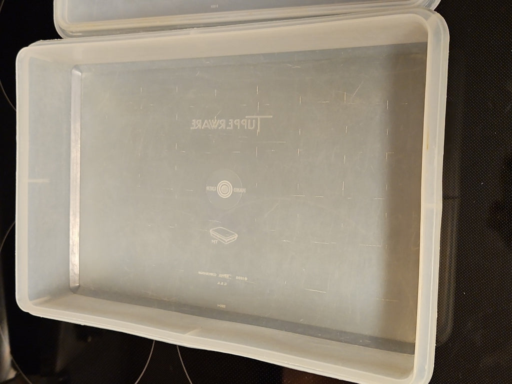 Vintage Tupperware Handolier #290 Sheer Rectangle Keeper With #291 Lid READ