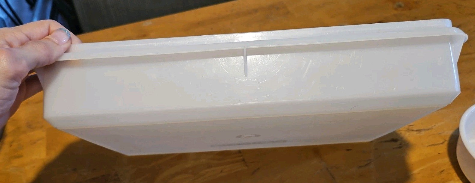 Vintage Tupperware Snack N Stor Store Large 9"X13" Container Only Sheer #290 EUC