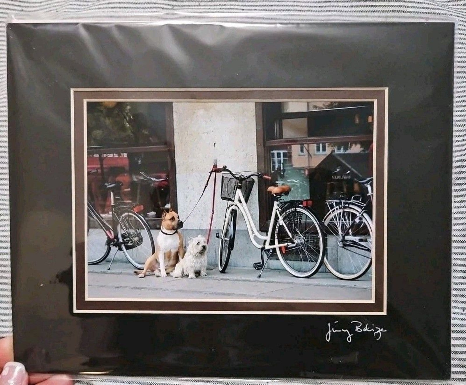 NIP 8" x 10" Matted 5" x 7" Print Dogs With Bicycles By Jimmy Beliz/Jim Goodman