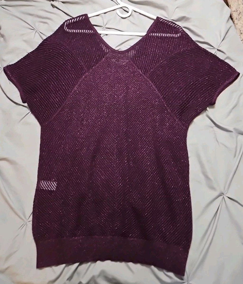 Express Womens Sz M Purple Metallic Hollow Knit V-Neck Long Sweater Tunic