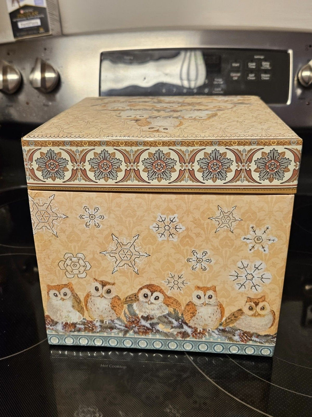 Elegant Storage Box Blue, Yellow, Silver Filigree Owl Print 9"x9"x5"