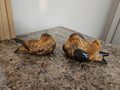 Vintage Andrea by Sadek Brown Black Sitting Doves Birds Ducks Figurines Set of 2