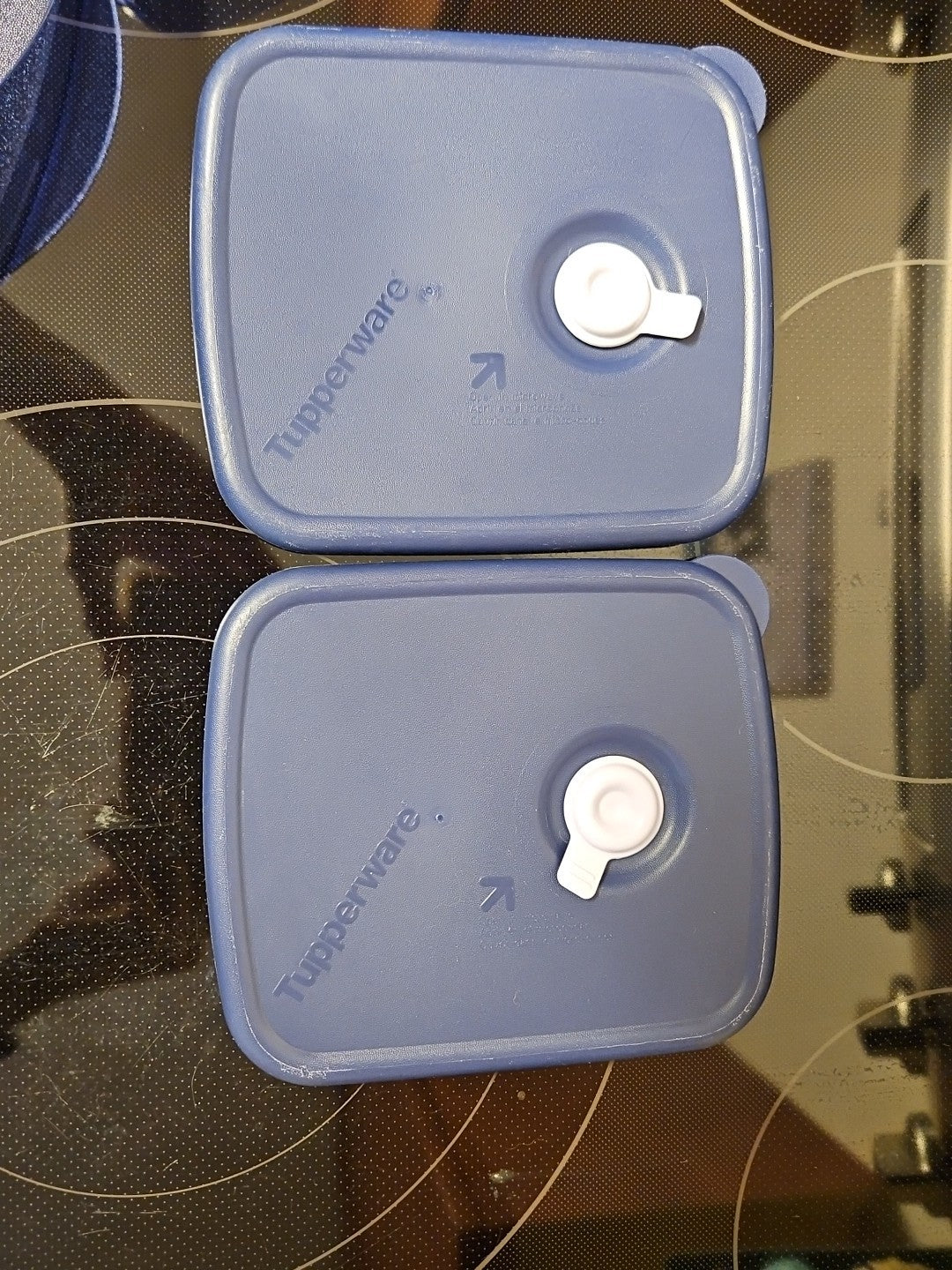 Set of 2 Tupperware Vent N Serve Medium Shallow / Medium Container Indigo Blue