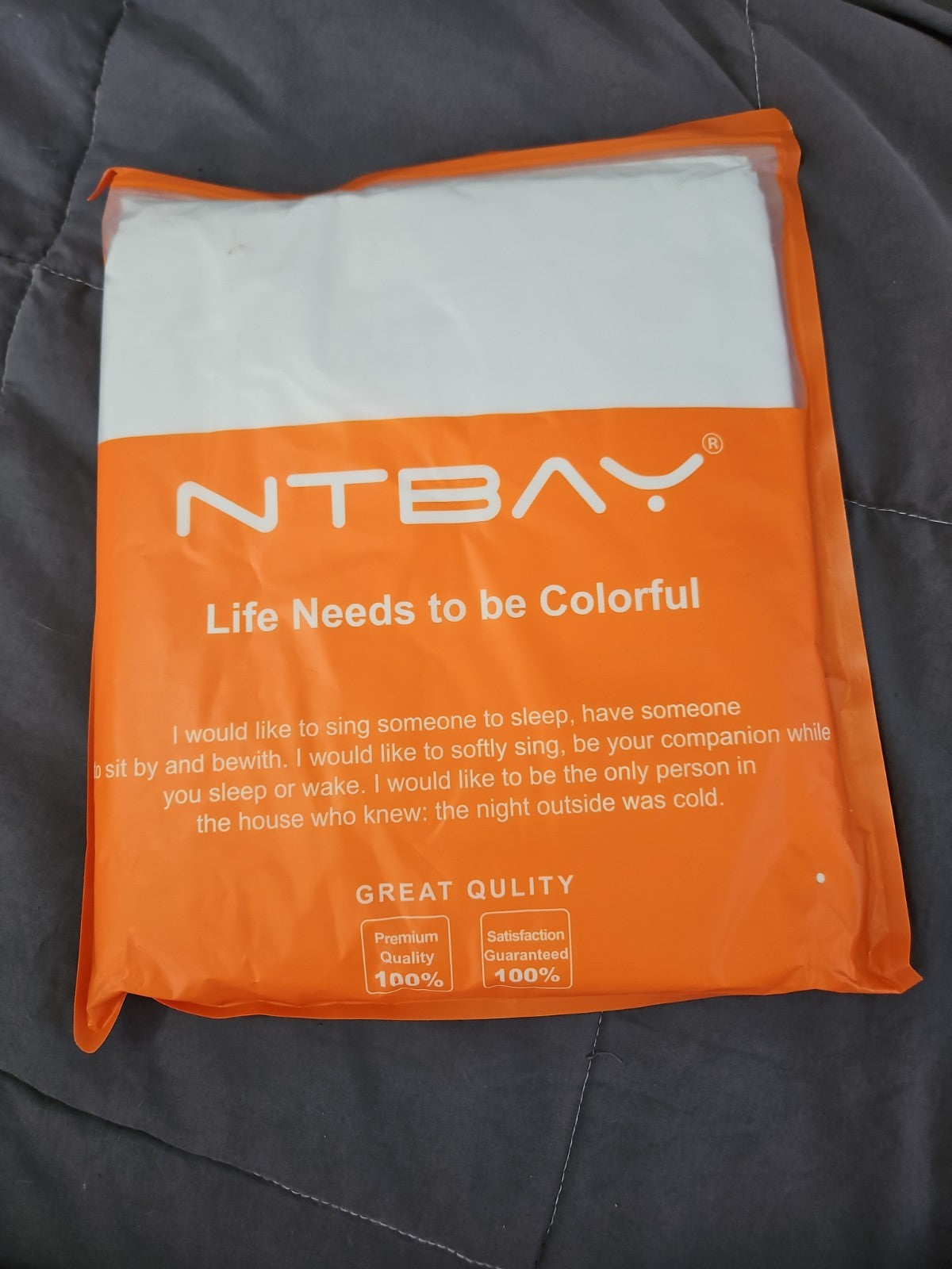 New In Package NTBAY Microfiber Twin Flat Top Sheet White