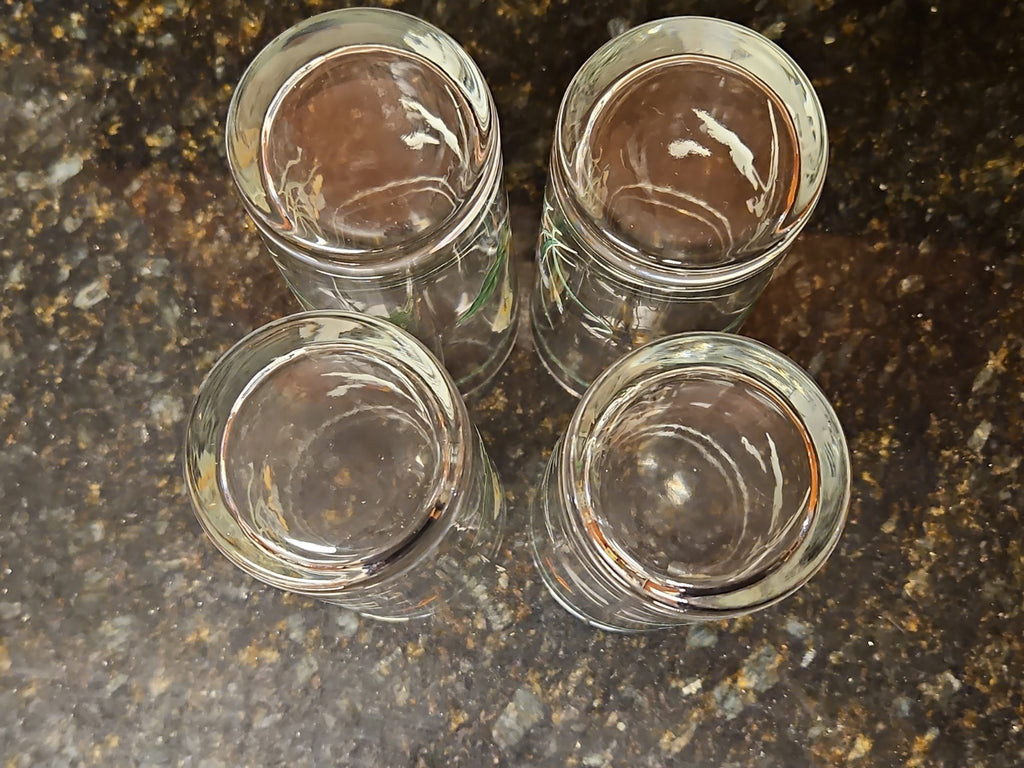 Set of 4 Vintage Floral Highball Tumbler Glasses Blue Iris & White Calla Lily