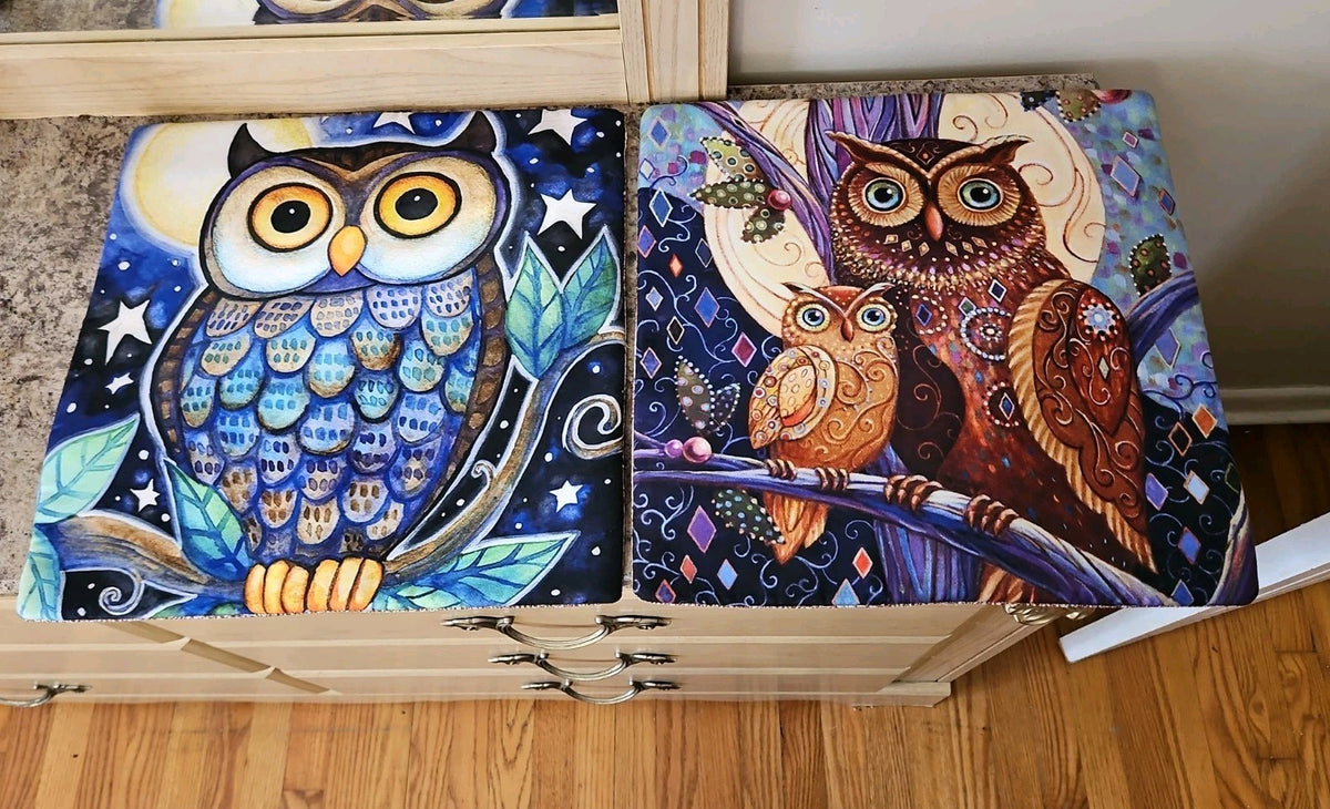 Set of 2 Opulent Owls Jewel Tone Reversible Throw Pillow Covers 15.5"x15.5" NWOT