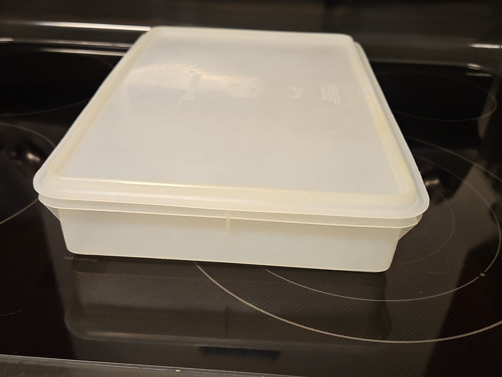 Vintage Tupperware Handolier #290 Sheer Rectangle Keeper With #291 Lid READ