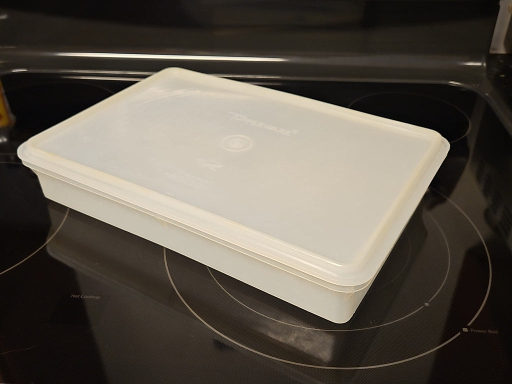 Vintage Tupperware Handolier #290 Sheer Rectangle Keeper With #291 Lid READ