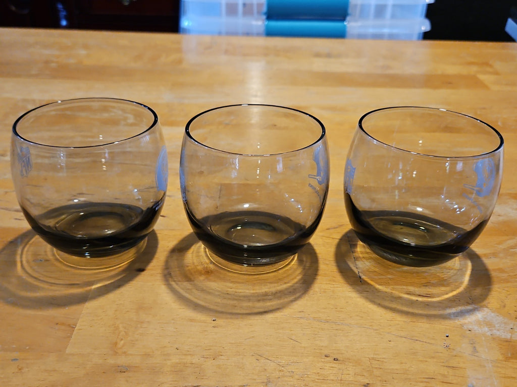 Set Of 6 NFL Miami Dolphins Rolly Polly Rocks Glasses Smoke Color 3.5" X 3"