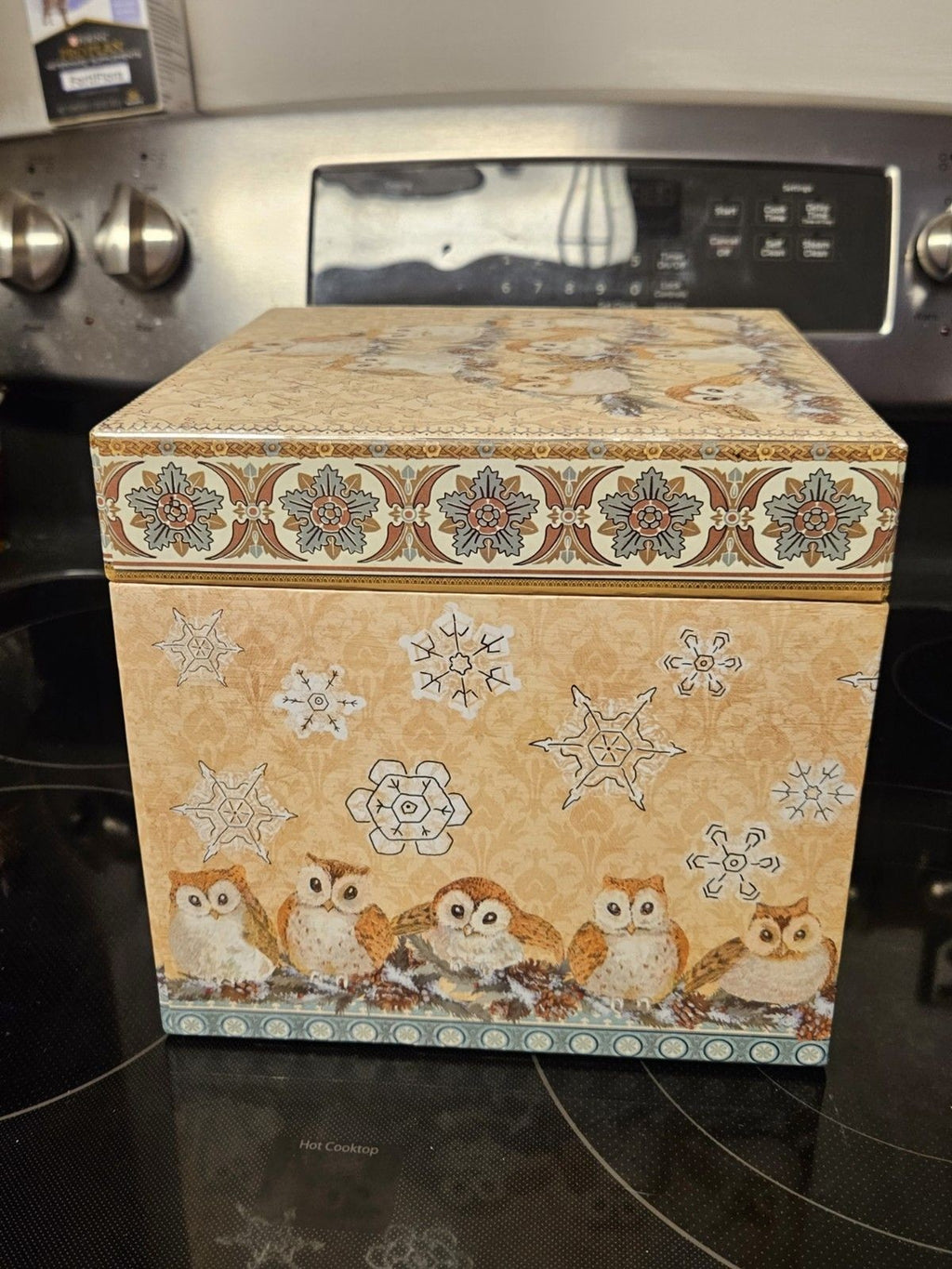 Elegant Storage Box Blue, Yellow, Silver Filigree Owl Print 9"x9"x5"