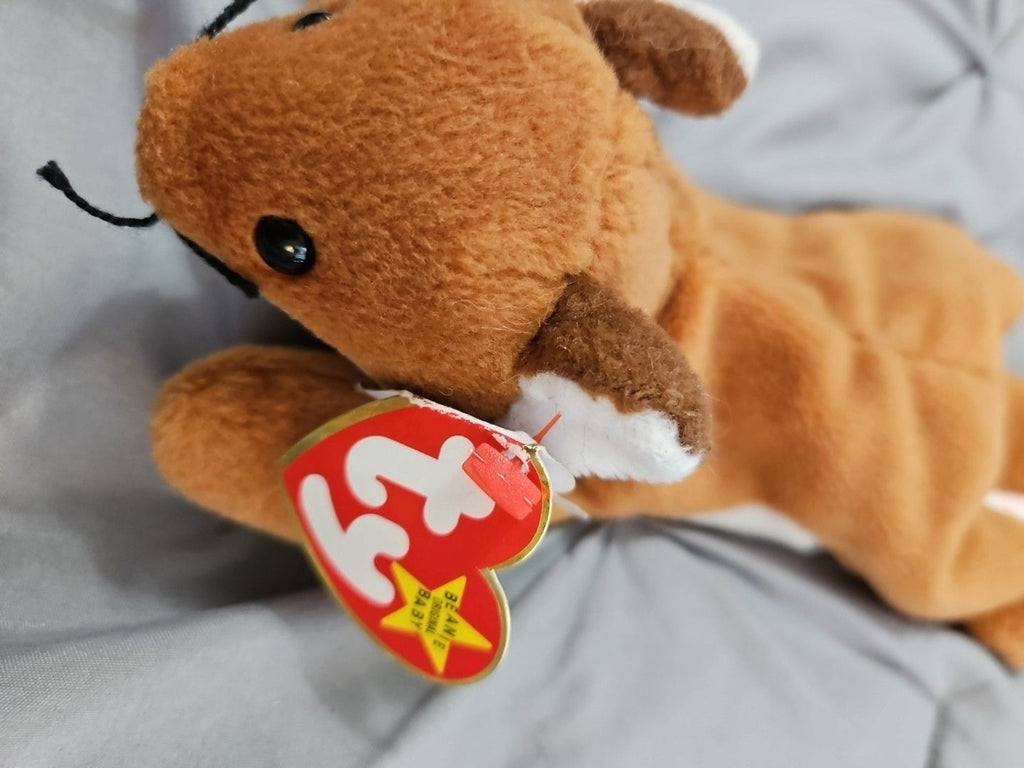 RETIRED 1996 TY BEANIE BABIES SLY THE FOX NWT Display Use Only