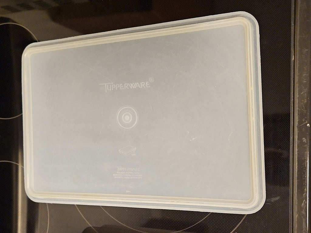 Vintage Tupperware Handolier #290 Sheer Rectangle Keeper With #291 Lid READ