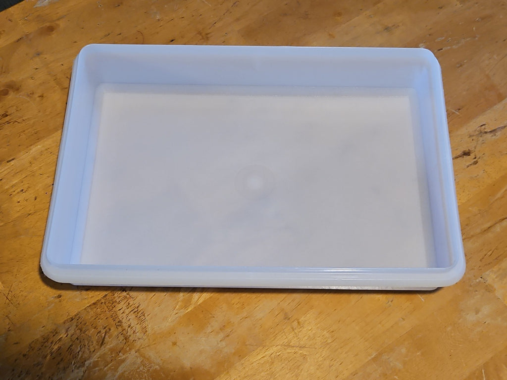 Vintage Tupperware Snack N Stor Store Large 9"X13" Container Only Sheer #290 EUC