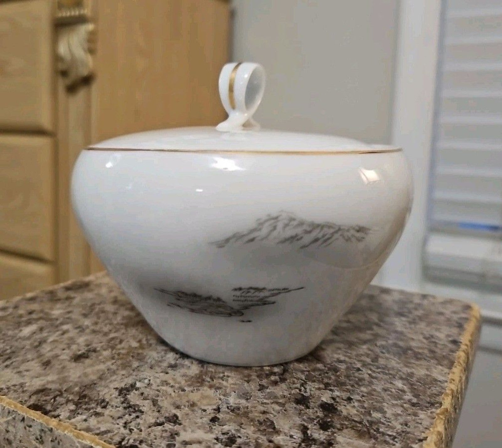 Fukagawa Arita 903 Hand Painted Landscape Lidded Sugar Bowl MINT Gold Trim
