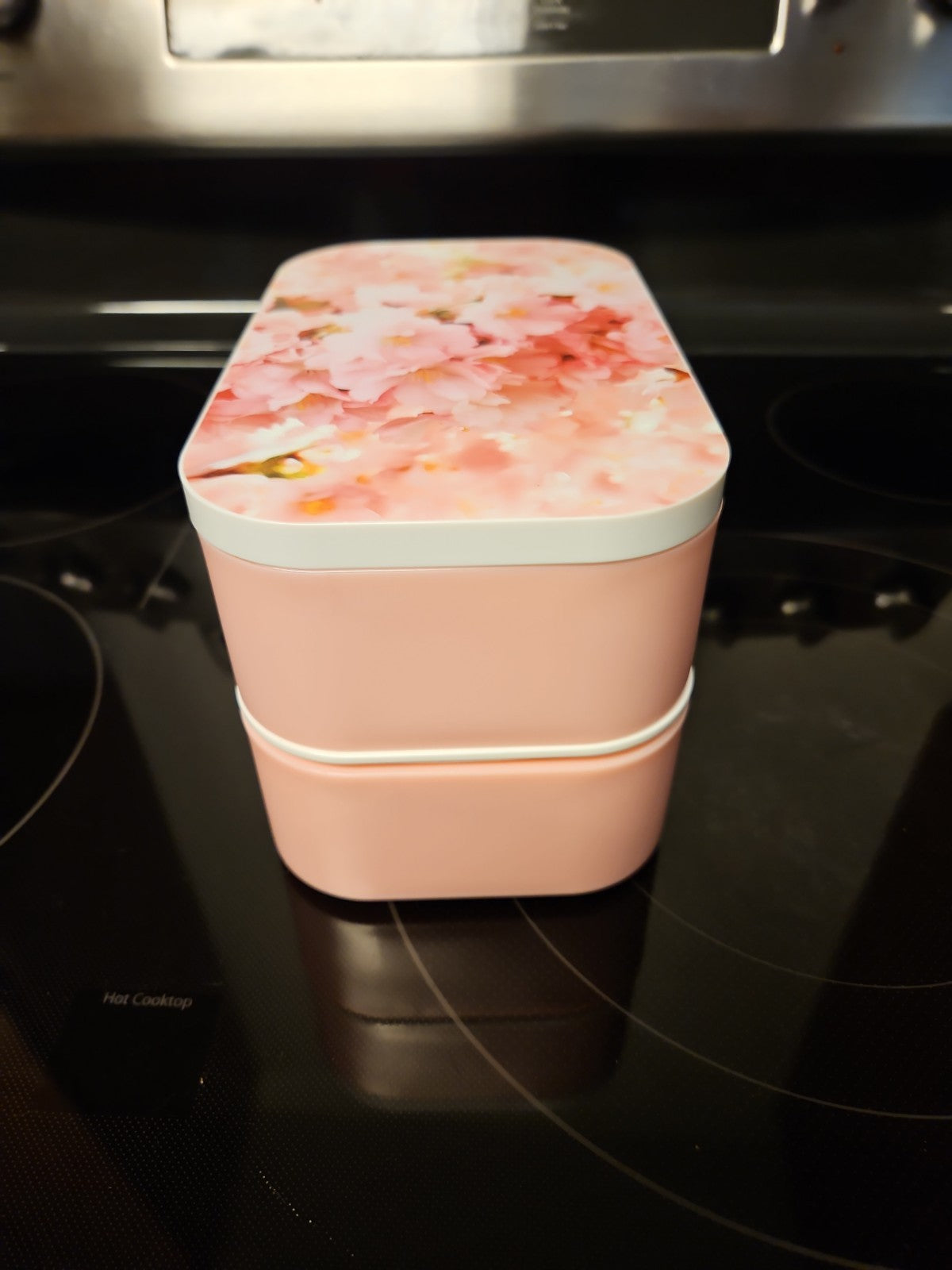 Sakura Cherry Blossoms Stainless Steel Double-Layer Bento Box Lunch Box
