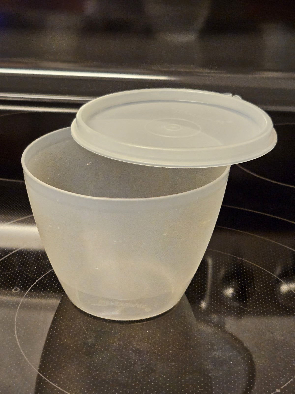 Vintage Tupperware Bowl Sheer 148 W/ Sheer Seal Lid 215