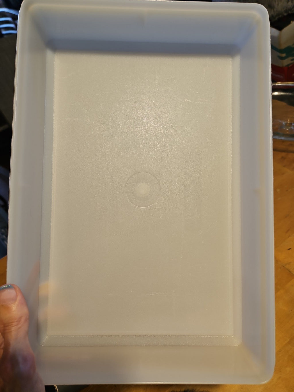 Vintage Tupperware Snack N Stor Store Large 9"X13" Container Only Sheer #290 EUC