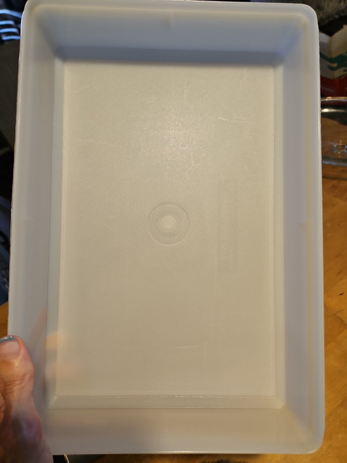 Vintage Tupperware Snack N Stor Store Large 9"X13" Container Only Sheer #290 EUC