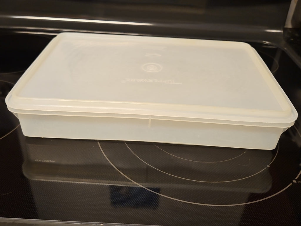 Vintage Tupperware Handolier #290 Sheer Rectangle Keeper With #291 Lid READ