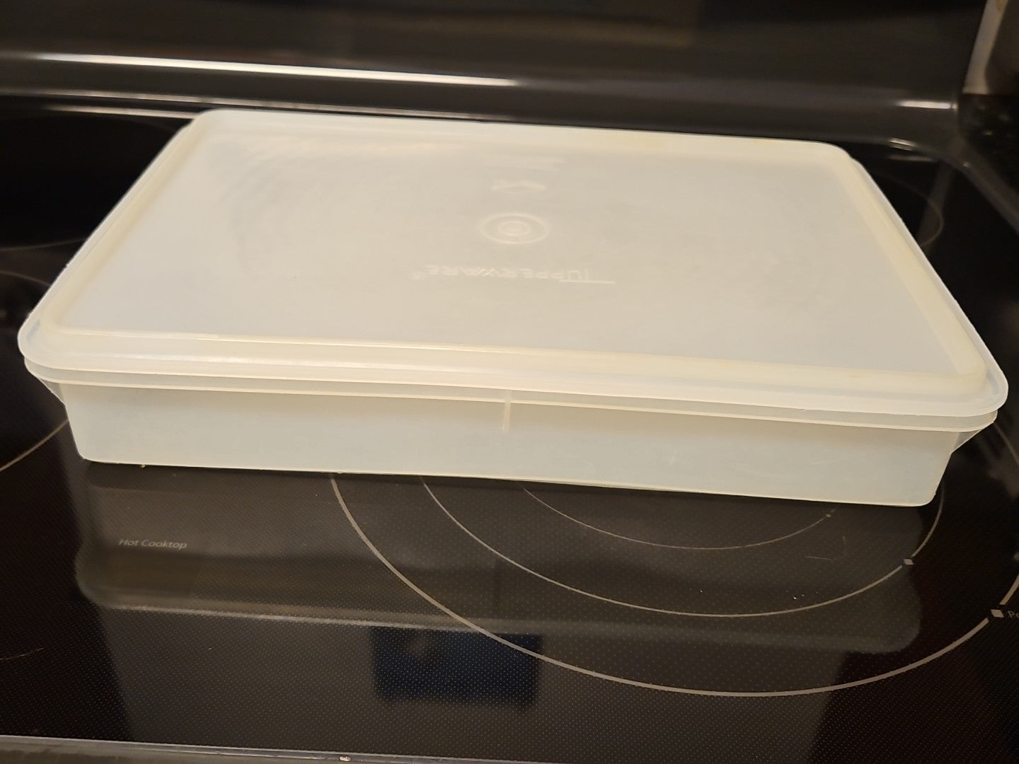 Vintage Tupperware Handolier #290 Sheer Rectangle Keeper With #291 Lid READ