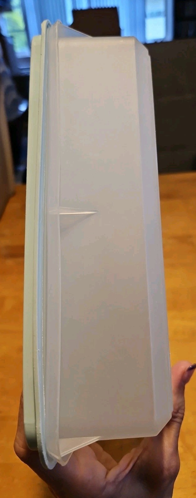 Vintage Tupperware #290 Sheer Rectangle Keeper With #291 Mint Green Lid