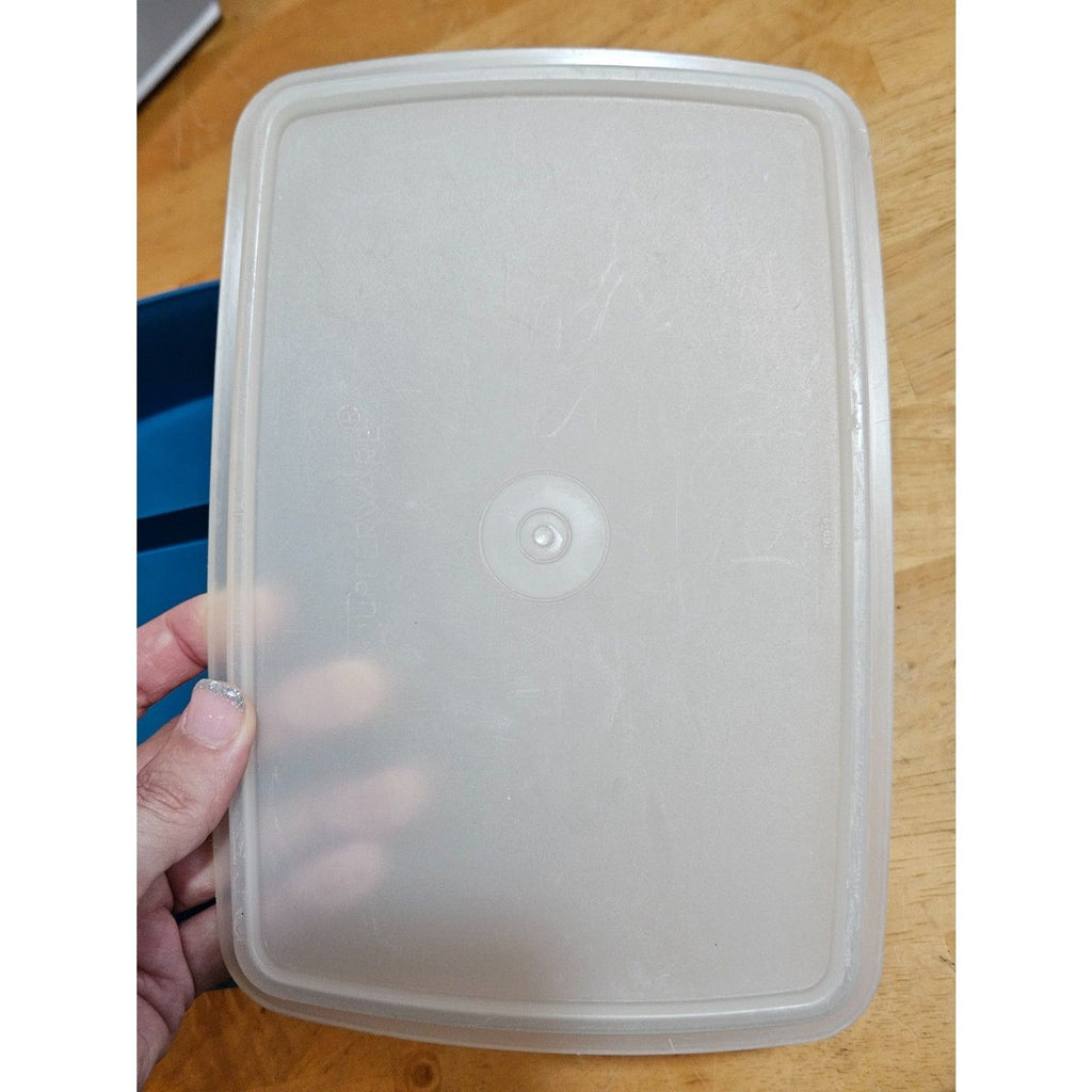 Tupperware Tuppercraft Stow N Go Teal Blue Divided Container w/Insert & Lid 767