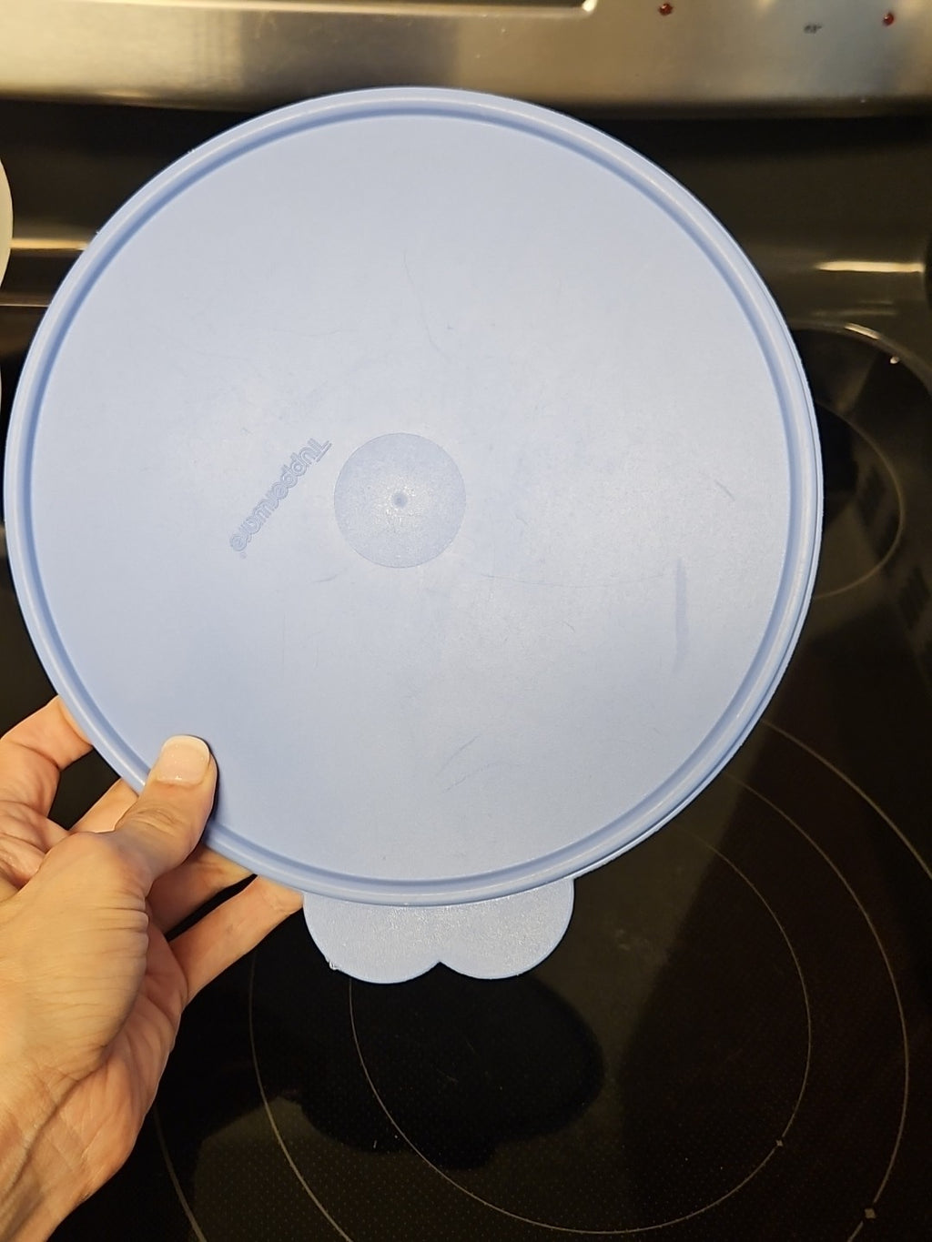 Set Of 2 Vintage Tupperware Wonderlier Bowls W Blue Lids 8 3/4 & 12 Cup