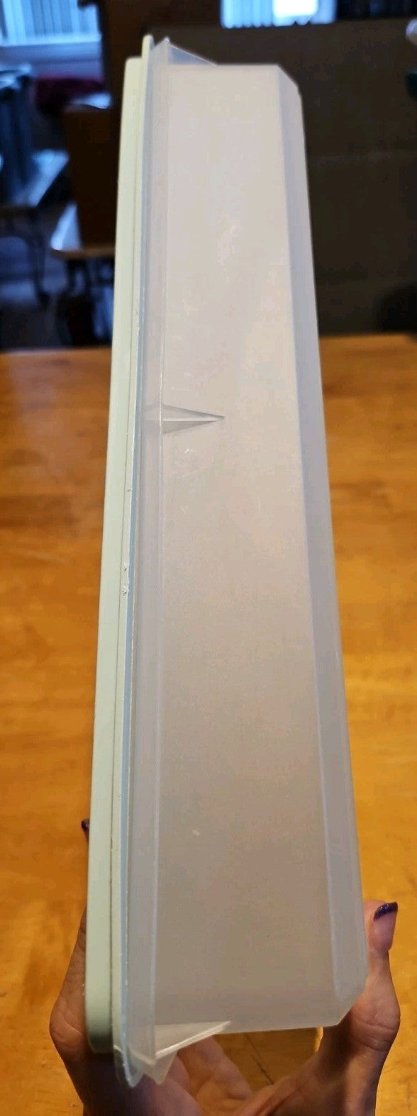 Vintage Tupperware #290 Sheer Rectangle Keeper With #291 Mint Green Lid