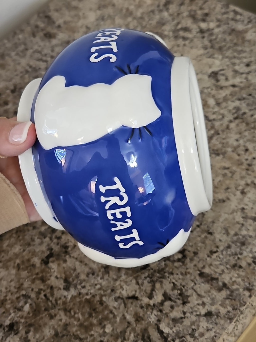 Vintage 1990's Blue & White Ceramic Cat Treats Cookie Jar 4.5" X 6"